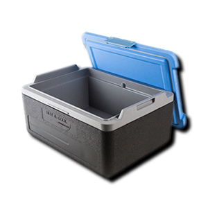 aa - food container